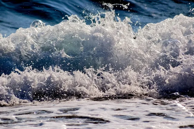 Alex has a three to your one wave count, some might see he's a greedy little hornet but i swear waves just appear in front of him while he goes about his own way in the lineup