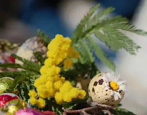 Spring Vibes