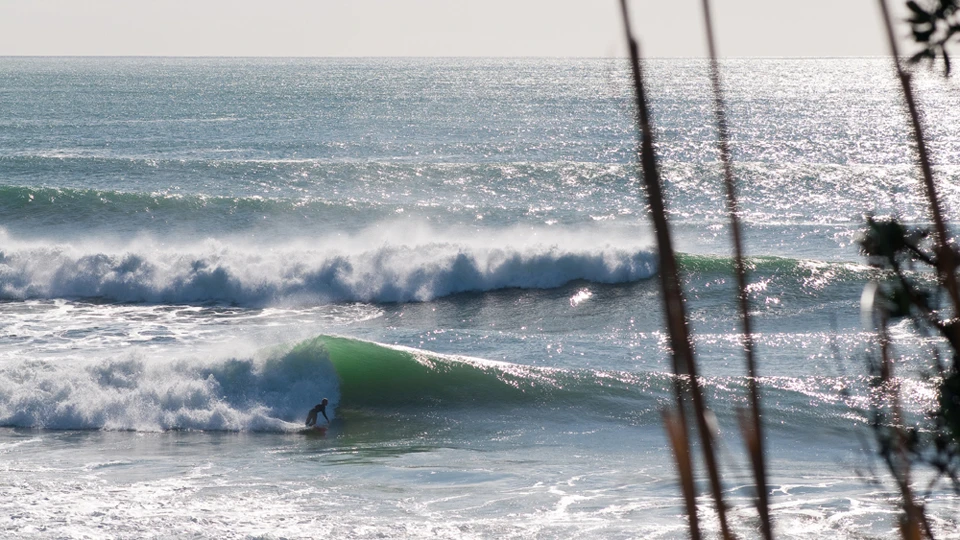 Ryan Heath. Photo: Digga