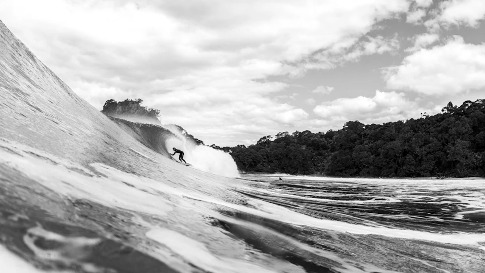 Jesse Steelman. Photo: Dominico Zapata
