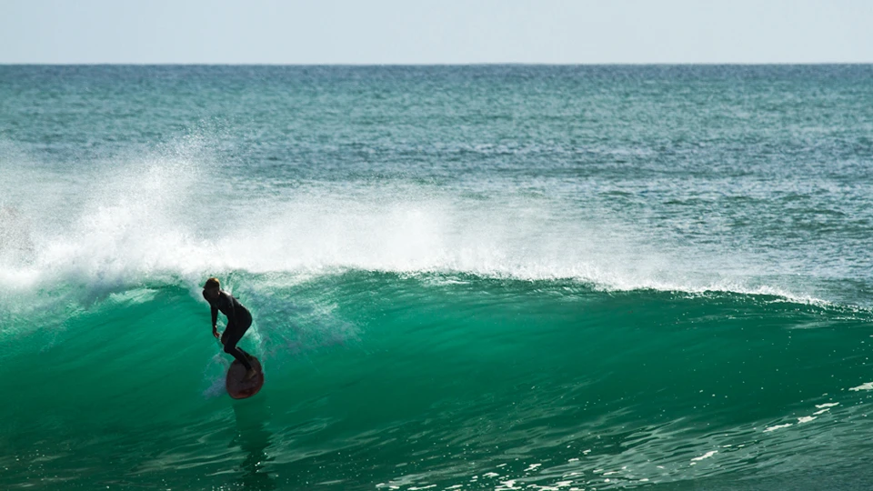 Jesse Steelman. Photo: Dominico Zapata
