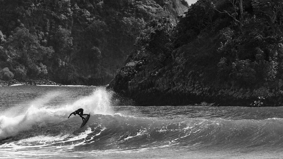 Jesse Steelman. Photo: Dominico Zapata