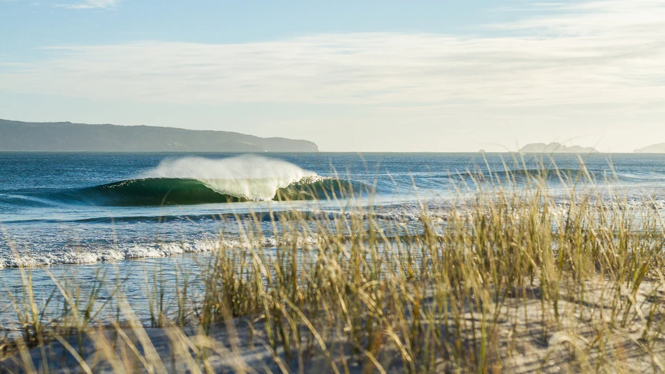 A few jewels came to life | Photo Jackson Bright