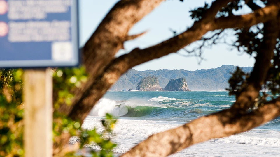 It was mostly about finding those places where it takes a lot of wave energy to come alive, like this nugget on the Coromandel | Photo Daniel Davie