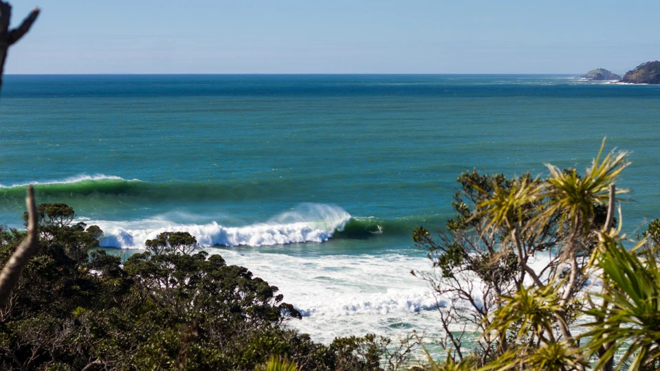 Chris Dews captured this rare Northland left waking from slumber