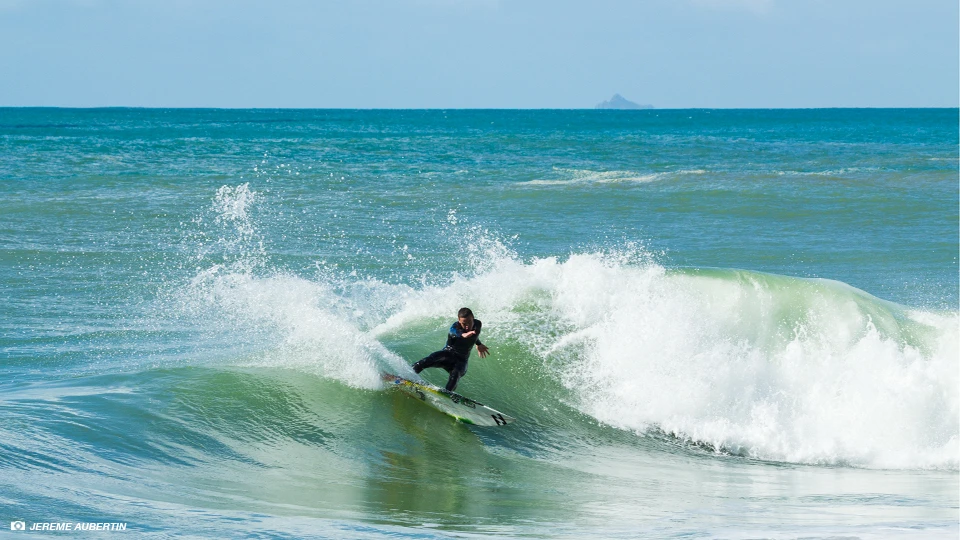 Buck carving. Photo Jereme