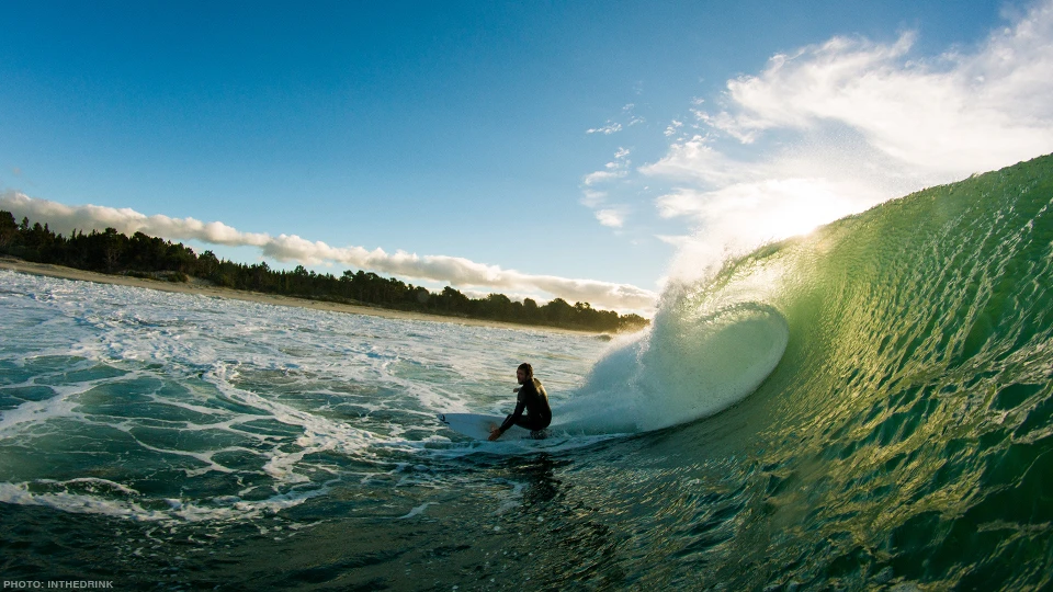 Wayne Norman. Photo: Inthedrink