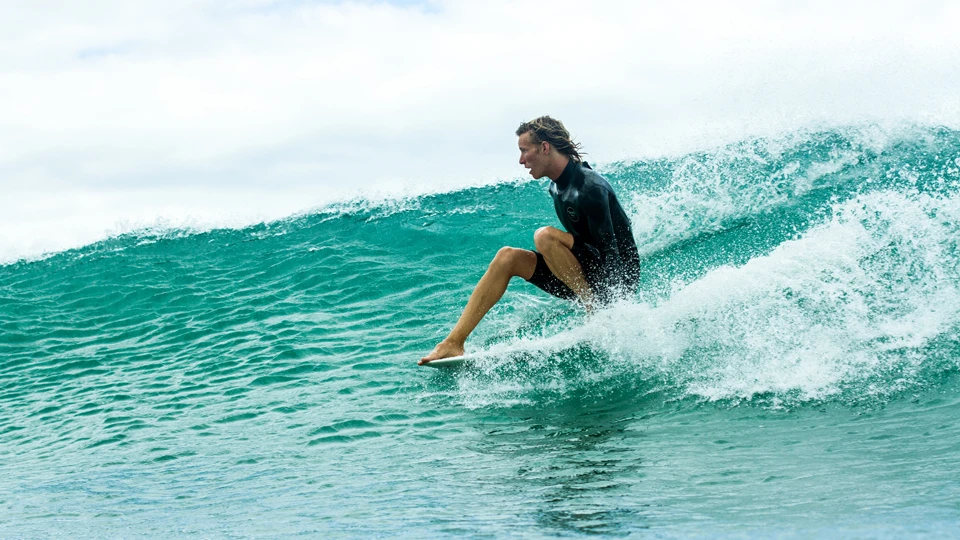 Elmore cheater five Coromandel | Photo: Rambo Estrada