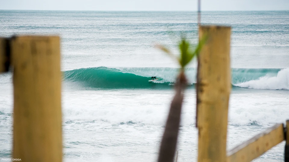 Alex Dive. Photo: Digga