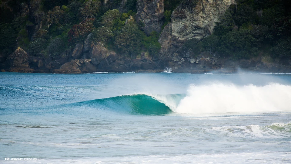 The Whangaroa Bay area produced the goods. Photo Jeremy Thorns