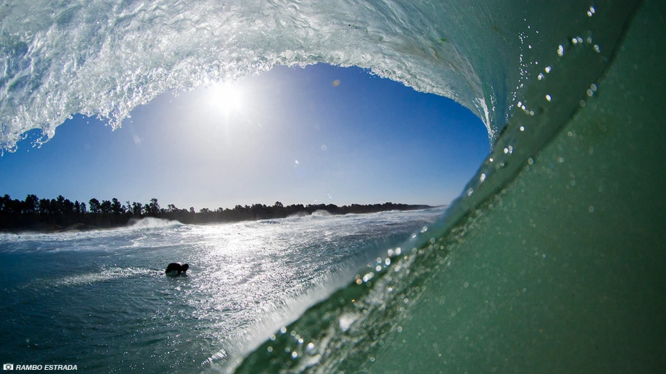 The Farm was at her finest. Photo: Rambo Estrada