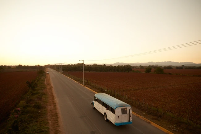 Corona_Someplace Else_BUS_134