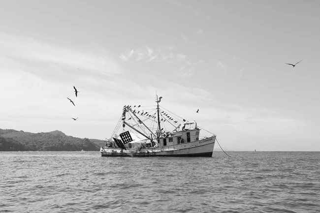 Corona_Someplace Else_LIFESTYLE_276